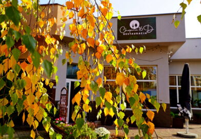 Gdzie zjeść w Koninie? Odkrywamy kulinarną perłę miasta