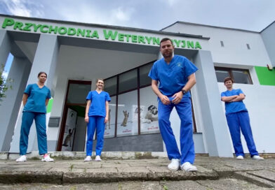 Weterynarz w Lesznie – czy rolnicy mogą liczyć na realną pomoc? Weterynarz w Lesznie – czy rolnicy mogą liczyć na realną pomoc?